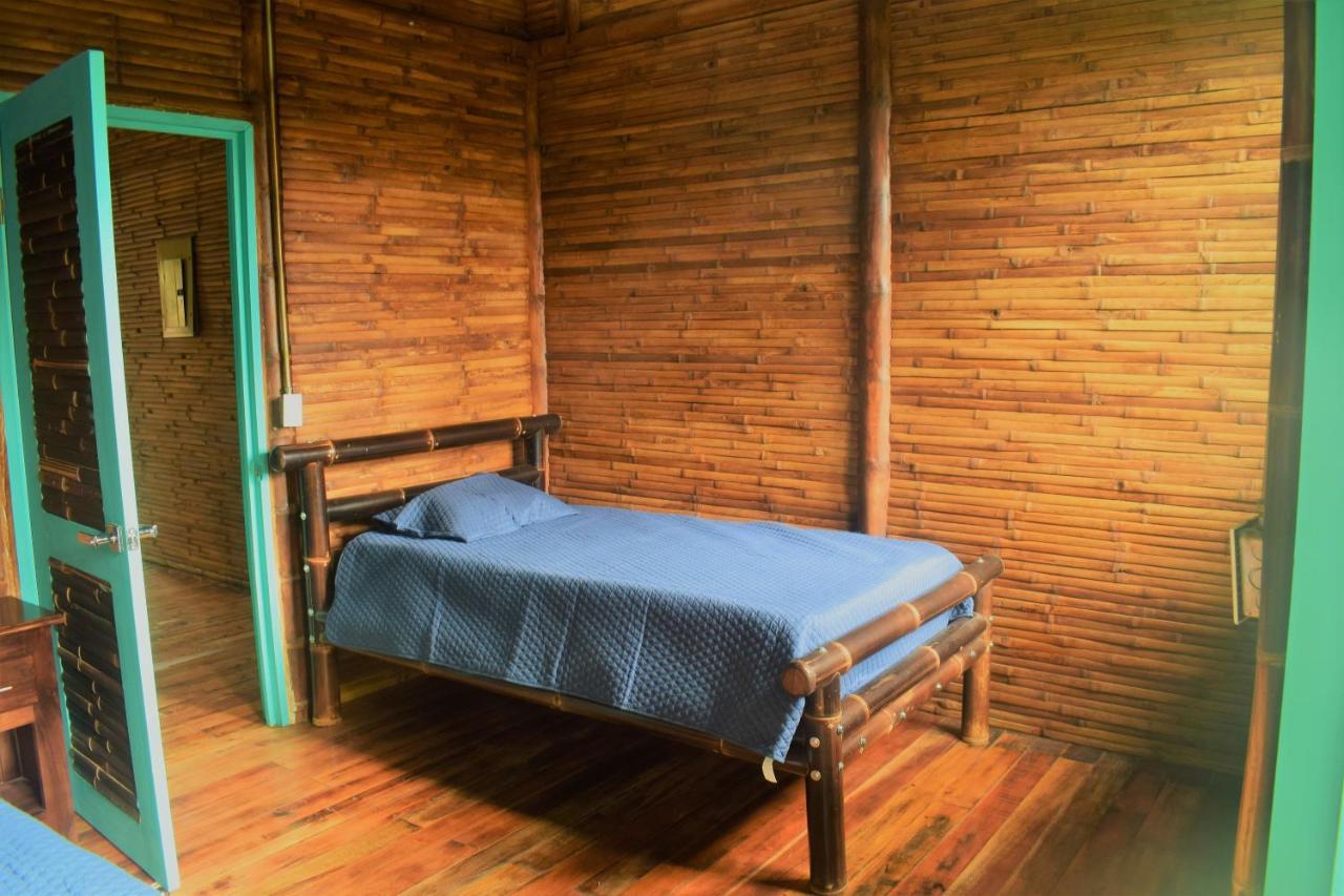 Casa De Bambu Βίλα Τουριάλμπα Εξωτερικό φωτογραφία