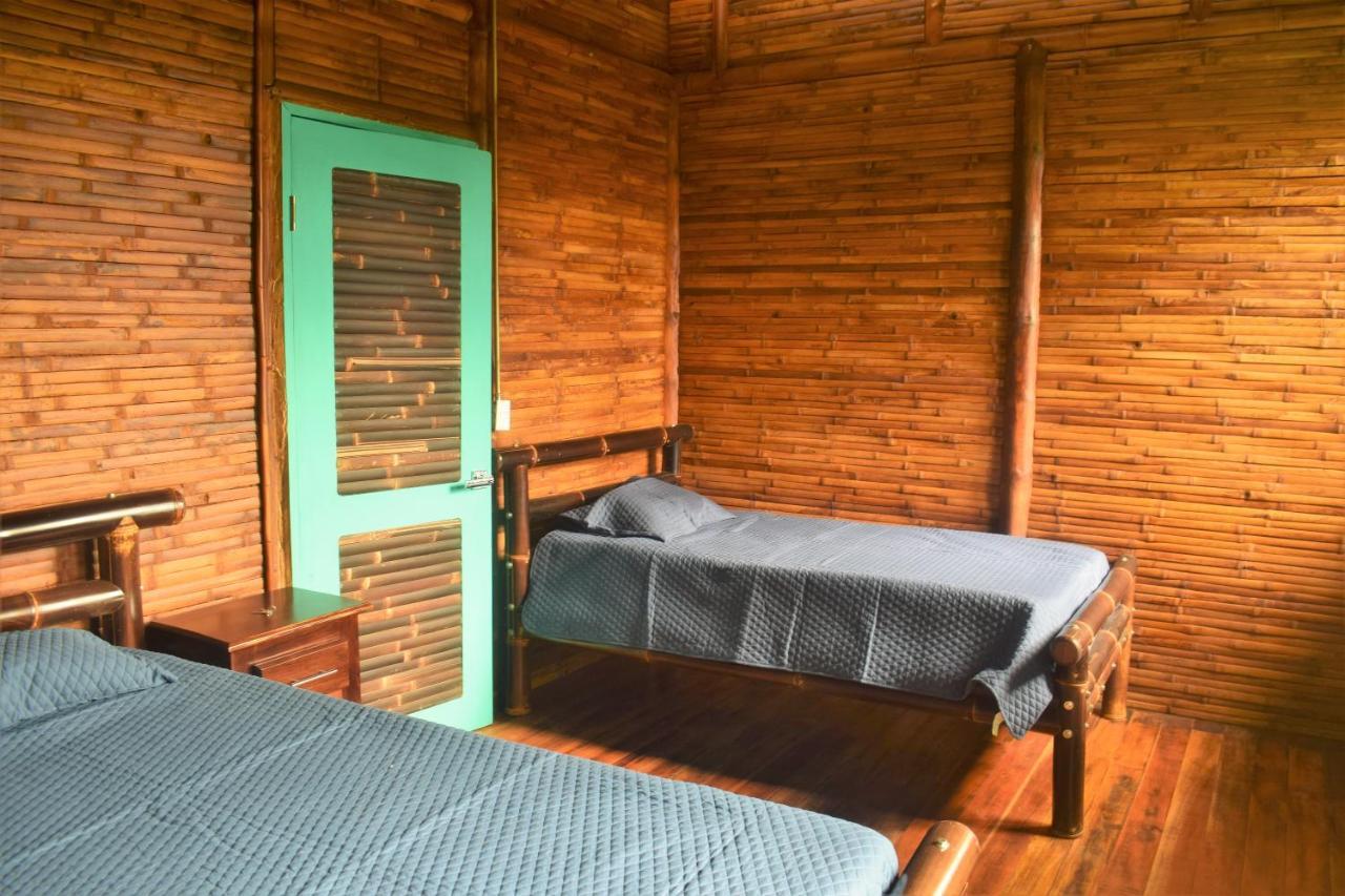 Casa De Bambu Βίλα Τουριάλμπα Εξωτερικό φωτογραφία