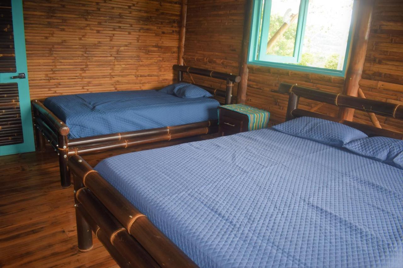 Casa De Bambu Βίλα Τουριάλμπα Εξωτερικό φωτογραφία
